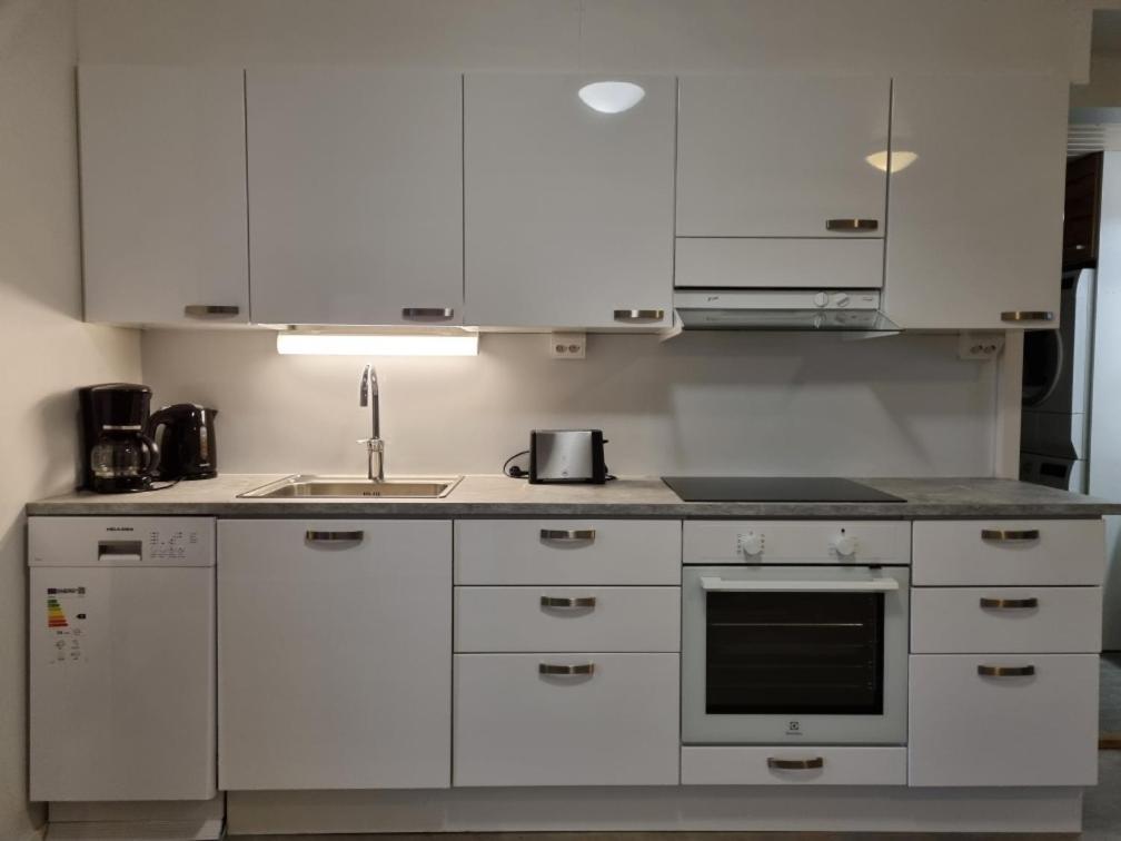 Polaris Homes For You ロヴァニエミ エクステリア 写真
